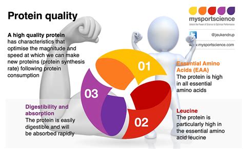 how are proteins analyzed in a qc laboratory|protein quality control pdf.